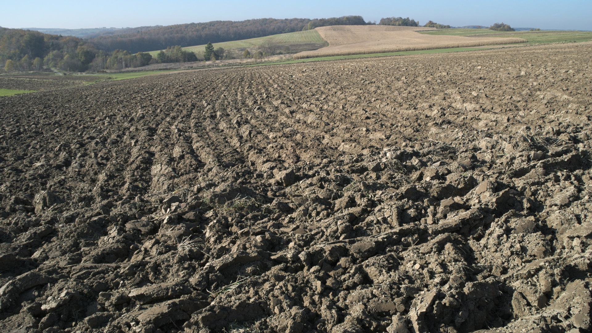 Strengthening soil microbes to replace fertilizers.